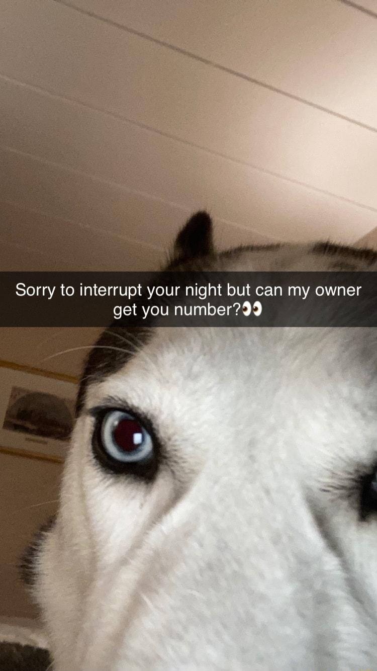 Sorry to interrupt your night but can my owner get you number39