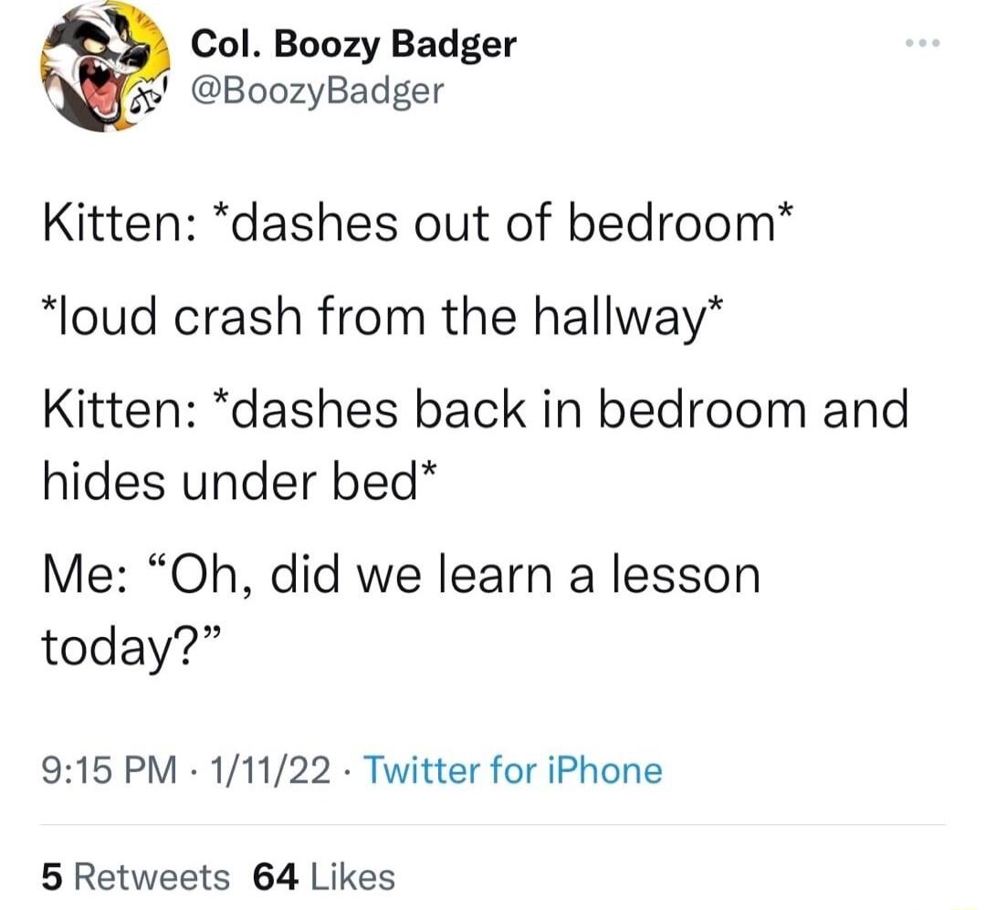 A Col Boozy Badger BoozyBadger Kitten dashes out of bedroom loud crash from the hallway Kitten dashes back in bedroom and hides under bed Me Oh did we learn a lesson today 915 PM 11122 Twitter for iPhone 5 Retweets 64 Likes