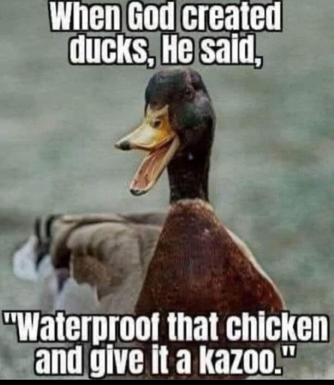 When God created ducks, He said, 