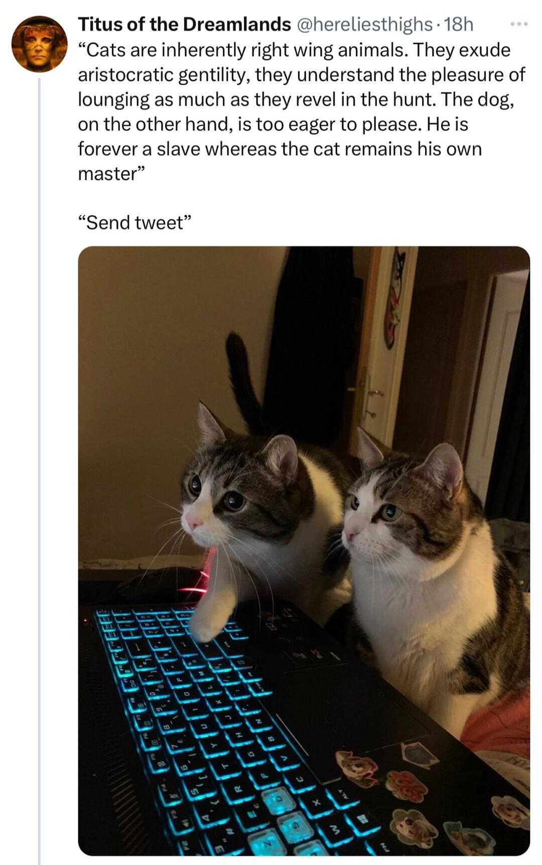 Titus of the Dreamlands hereliesthighs 18h Cats are inherently right wing animals They exude aristocratic gentility they understand the pleasure of lounging as much as they revel in the hunt The dog on the other hand is too eager to please He is forever a slave whereas the cat remains his own master Send tweet