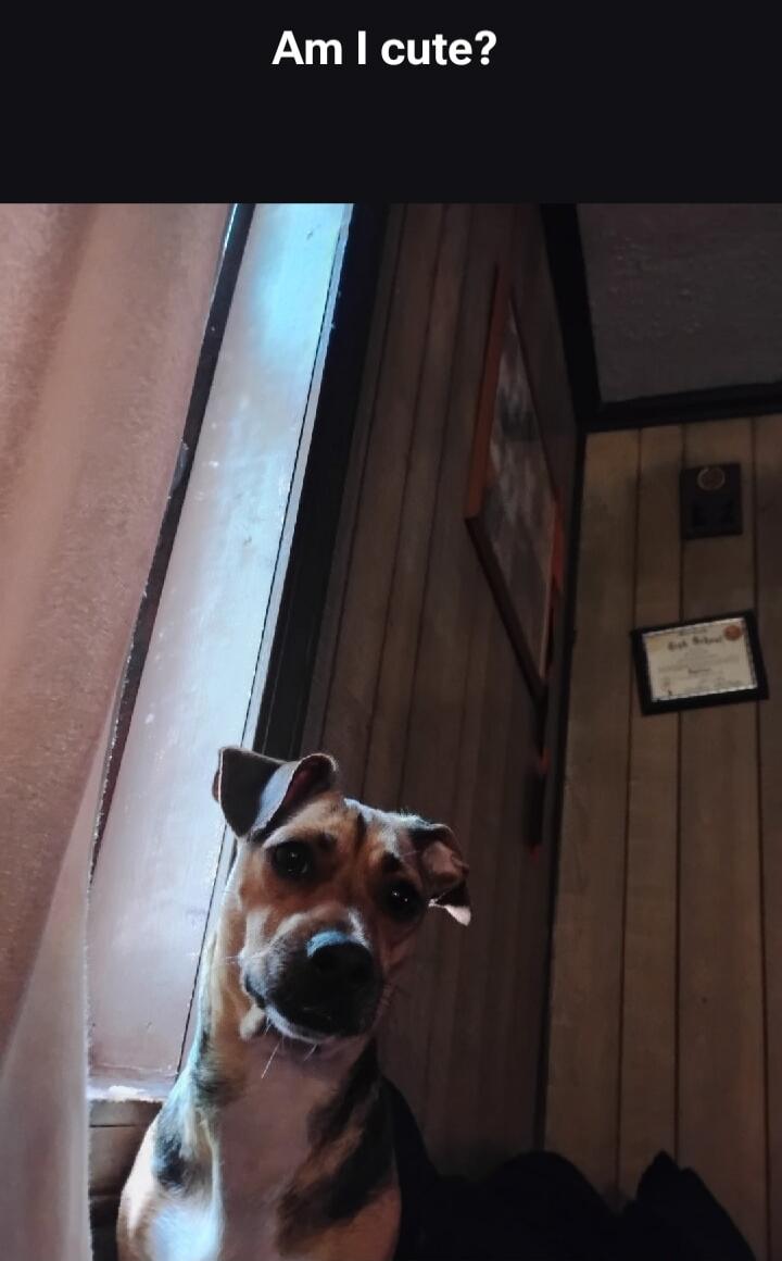 Am I cute?