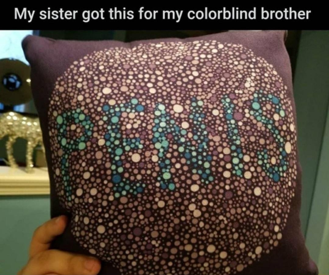 My sister got this for my colorblind brother