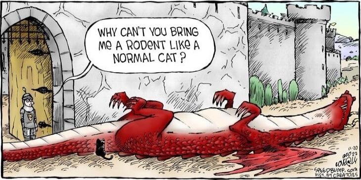 7 WHY CANT YOU BRING M2 A RODONT LIKe A NORMALCAT