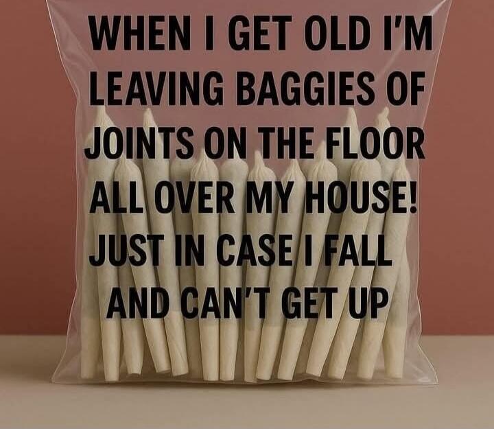WHEN I GET OLD I'M LEAVING BAGGIES OF JOINTS ON THE FLOOR ALL OVER MY HOUSE! JUST IN CASE I FALL AND CAN'T GET UP