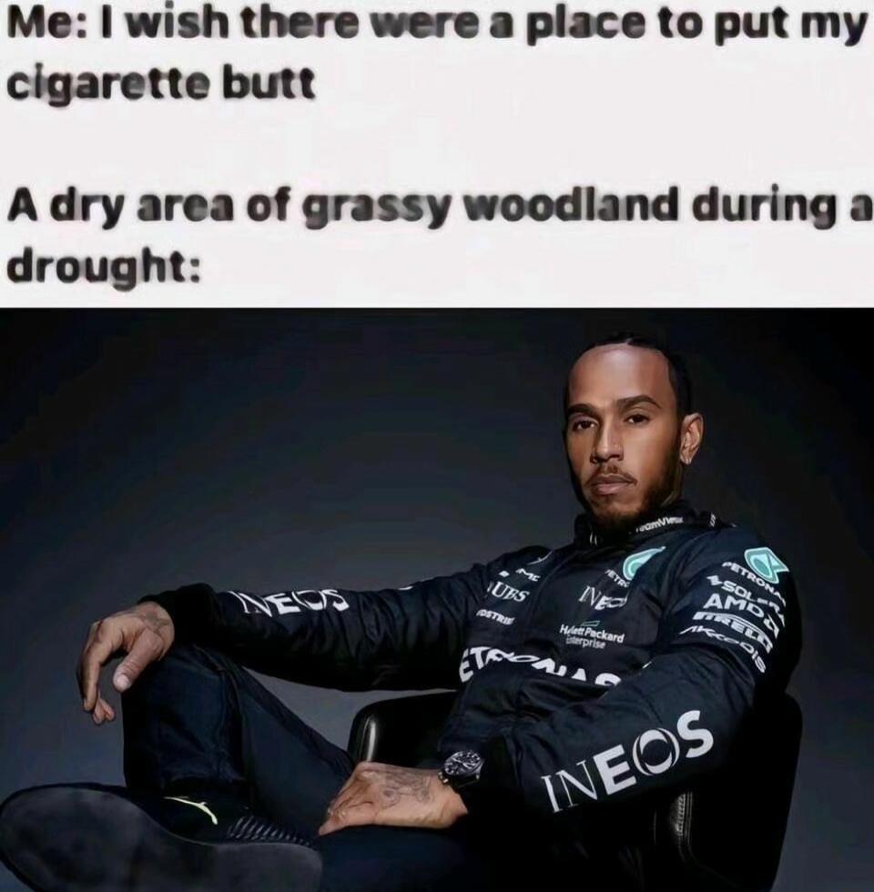 Me wish there were a place to put my cigarette butt A dry area of grassy woodland during a drought RS s M AR
