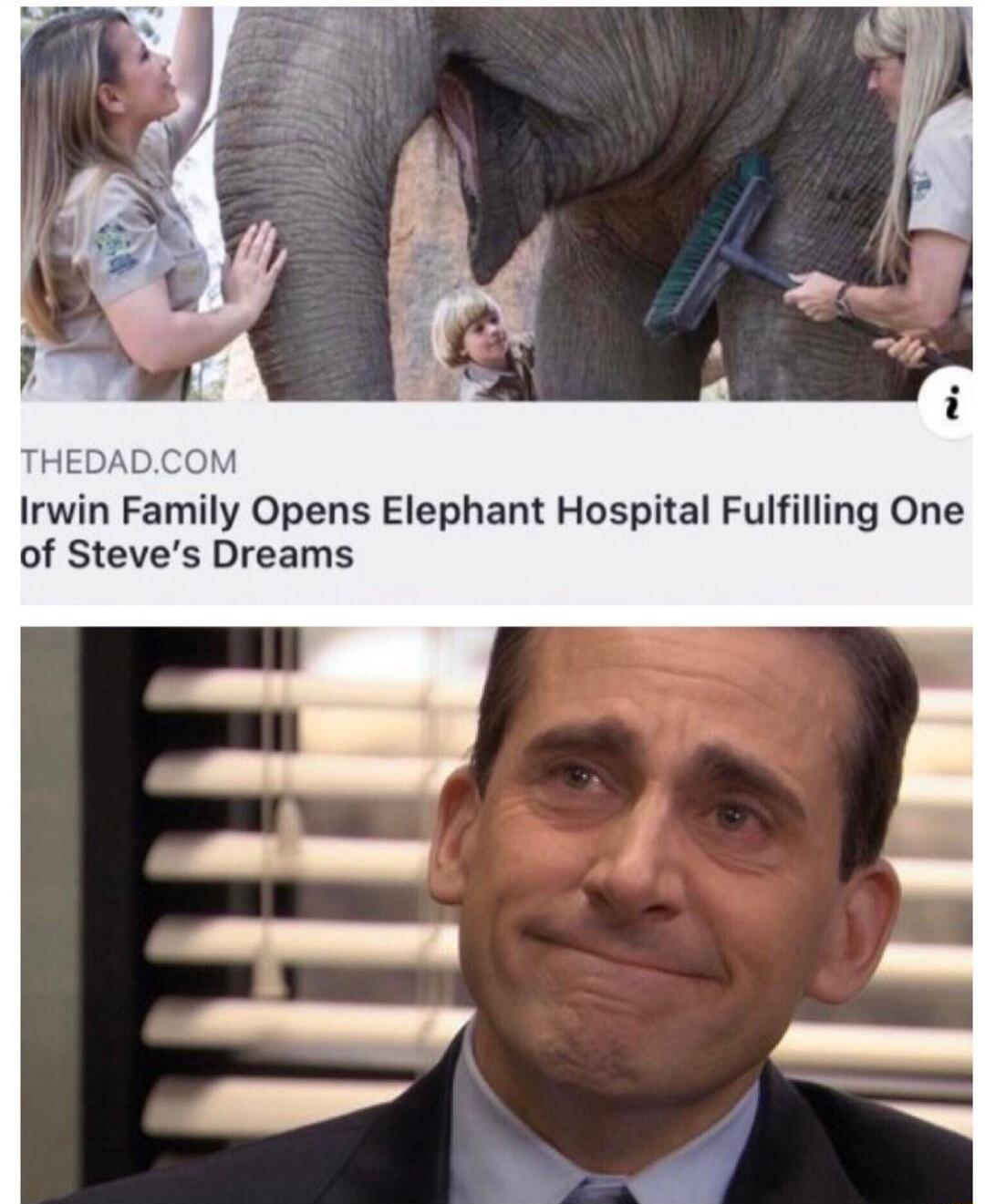 THEDAD.COM Irwin Family Opens Elephant Hospital Fulfilling One of Steve's Dreams. An emotional reaction from Michael Scott.