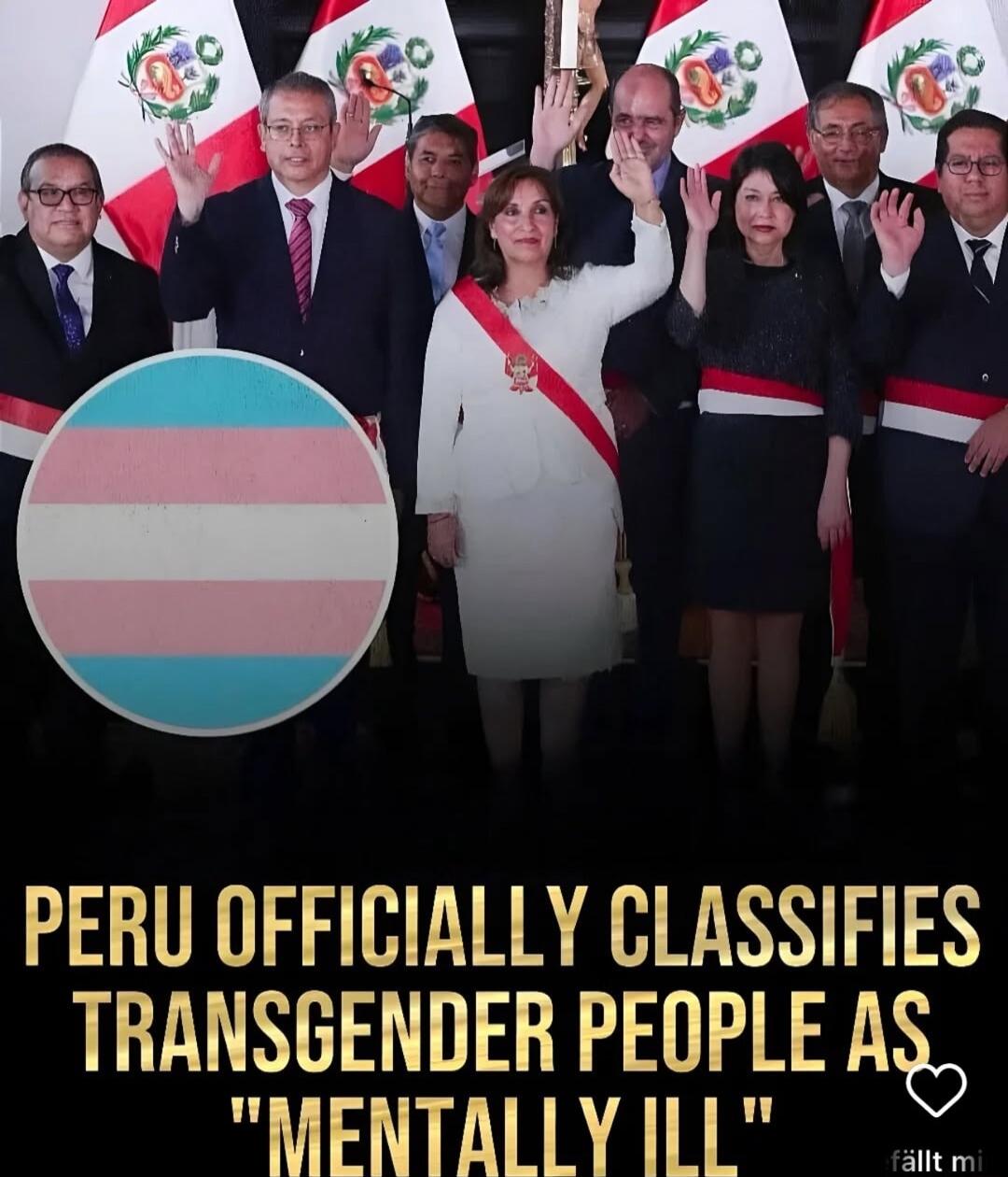 PERU OFFICIALLY CLASSIFIES TRANSGENDER PEOPLE A3 MENTALLY L 0