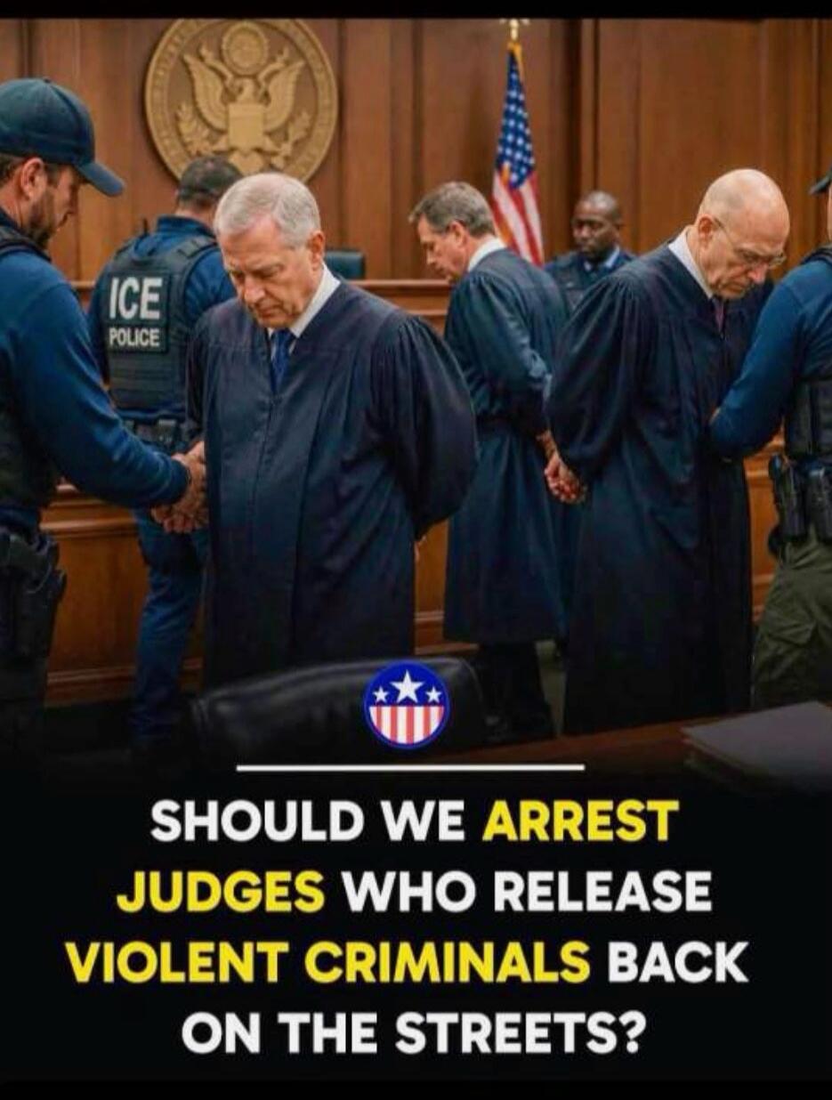 ICE POLICE. SHOULD WE ARREST JUDGES WHO RELEASE VIOLENT CRIMINALS BACK ON THE STREETS?