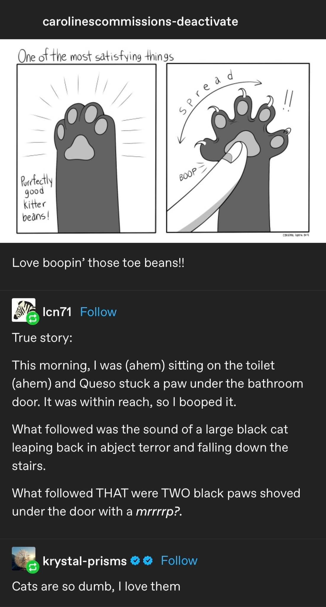 CETGEELT I ER LR B EET IVEL isfying things ROVER oIl EER CILE LRI y len71 True story This morning was ahem sitting on the toilet ahem and Queso stuck a paw under the bathroom door It was within reach so booped t LULEIS L RVERR QLT RO N I R El eE T CETLRET LGN S CI TR EN T Te e W R i stairs AULETS GGG B e VY RVT R R T E T oL IR Ve under the door with a mrrrrp krystal prisms Cats are so dumb love th
