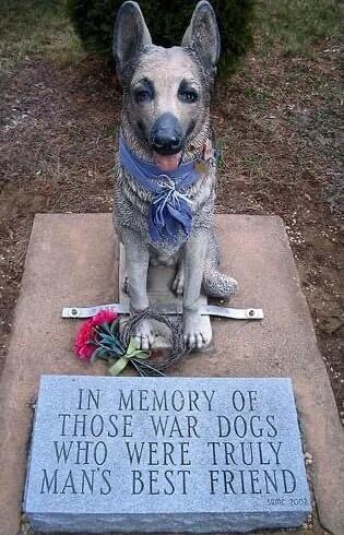 EIF TRULY 8 4 MANS BEST FRIEND