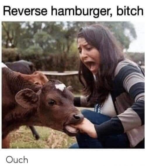 Reverse hamburger, bitch
Ouch
