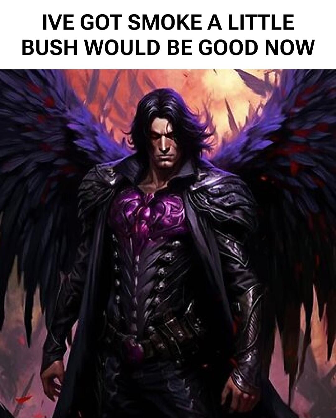 IVE GOT SMOKE A LITTLE BUSH WOULD BE GOOD NOW