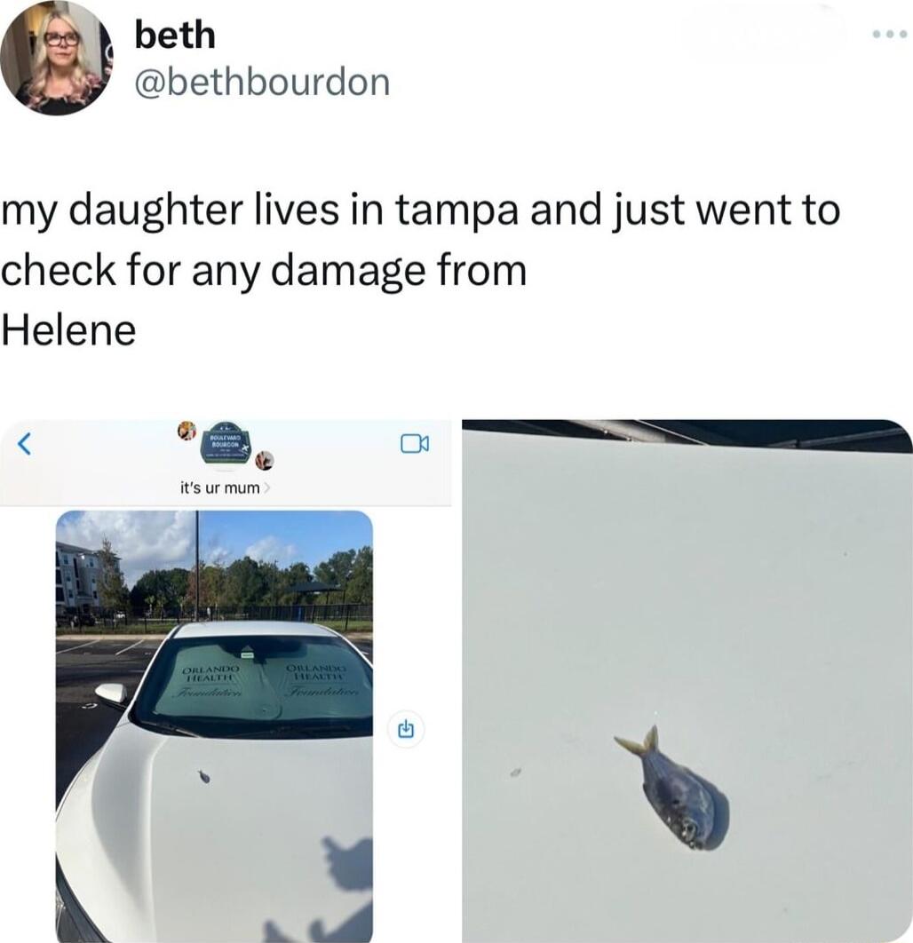 beth bethbourdon my daughter lives in tampa and just went to check for any damage from Helene