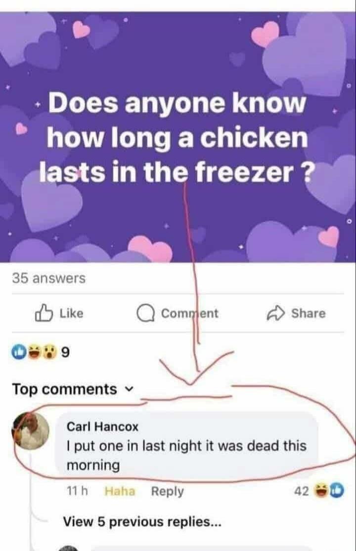 Does anyone know how long a chicken lasts in the freezer? Carl Hancox: I put one in last night it was dead this morning.