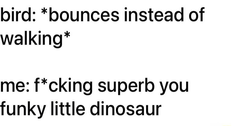 bird: *bounces instead of walking*
me: f*cking superb you funky little dinosaur