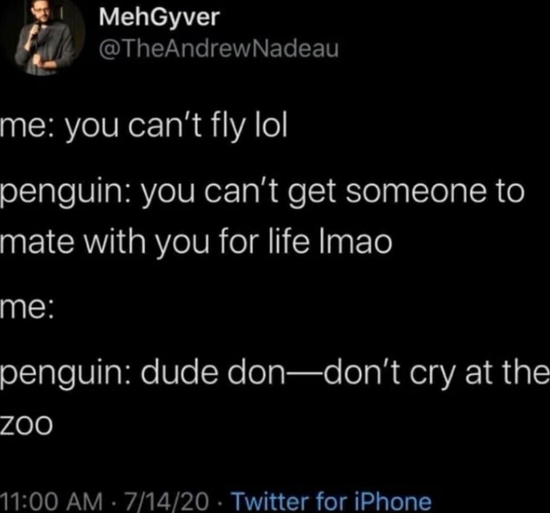 MehGyver 4 TheAndrewNadeau me you cant fly lol penguin you cant get someone to QIR YeIVR olalI X pyFTe me ollaleUlaNIe Ve SXelelare s R AR 1R a1 rdele 1100 AM 71420 Twitter for iPhone
