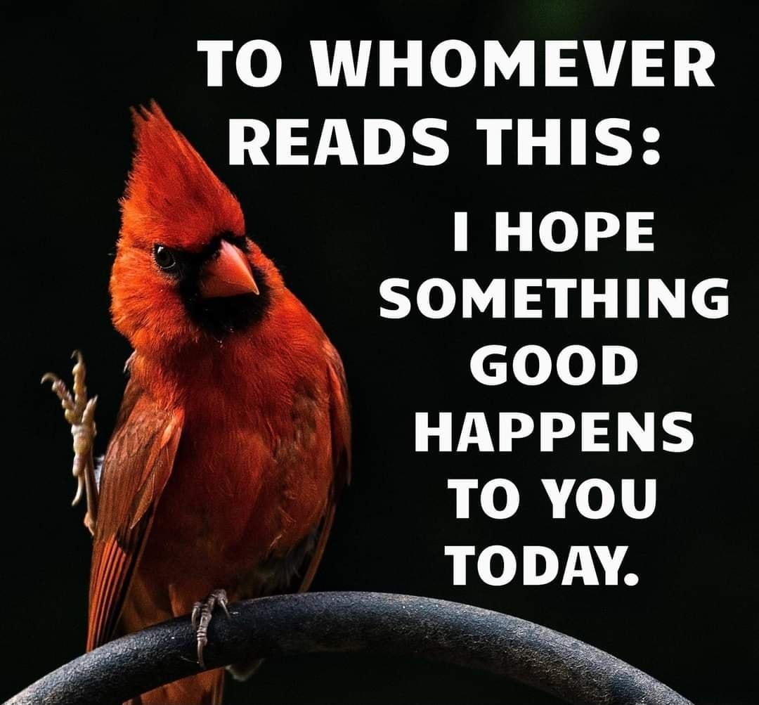 TO WHOMEVER READS THIS 1 HOPE SOMETHING eTe HAPPENS TOYOU TODAY oo