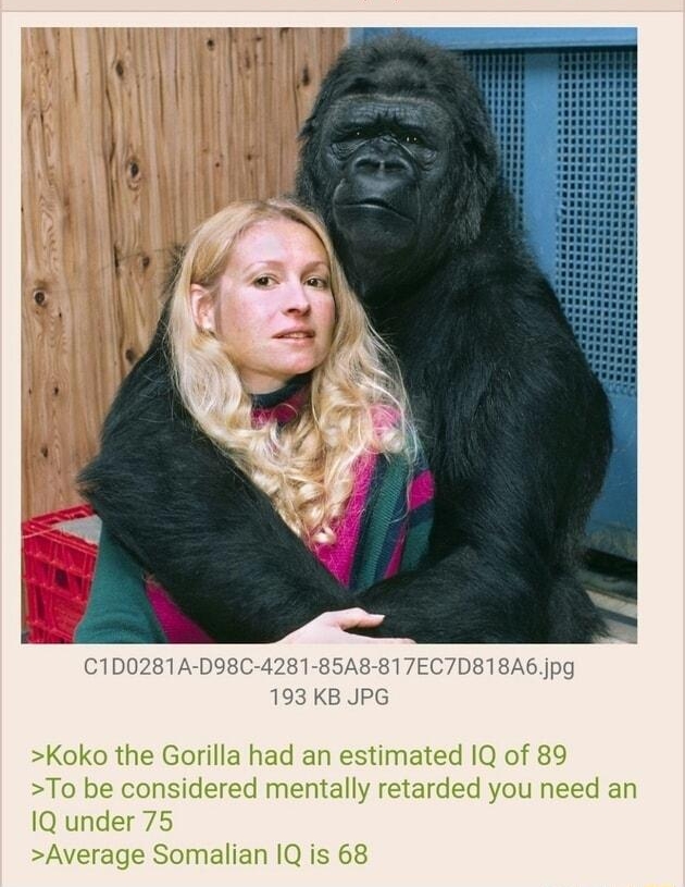 052821Fri153923 No323636938