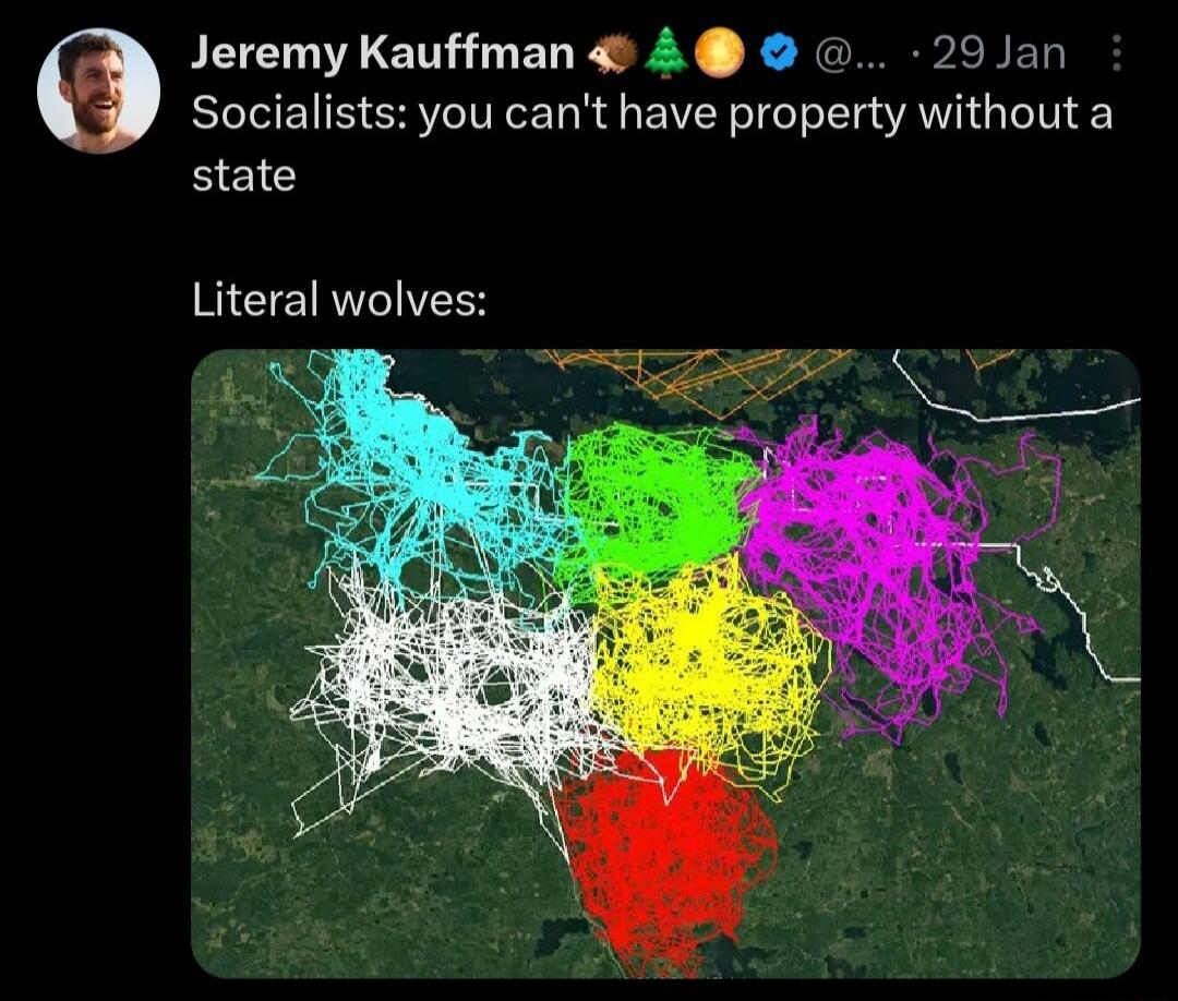 Jeremy Kauffman A 29 Jan Socialists you cant have property without a state Literal wolves