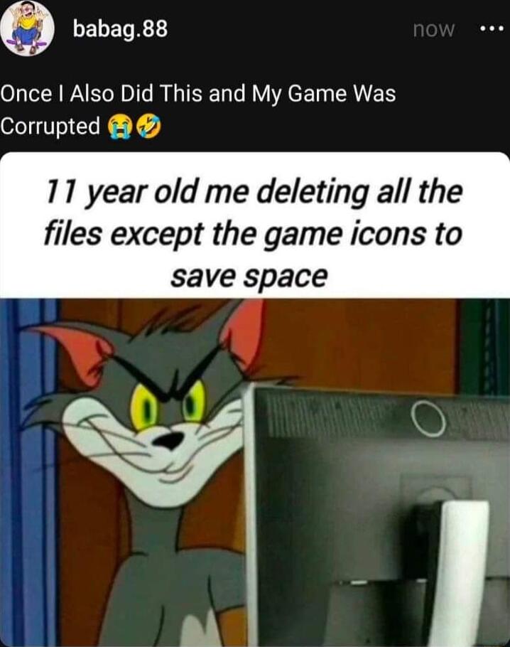 ELETRE Once Also Did This and My Game Was Corrupted 11 year old me deleting all the files except the game icons to save space