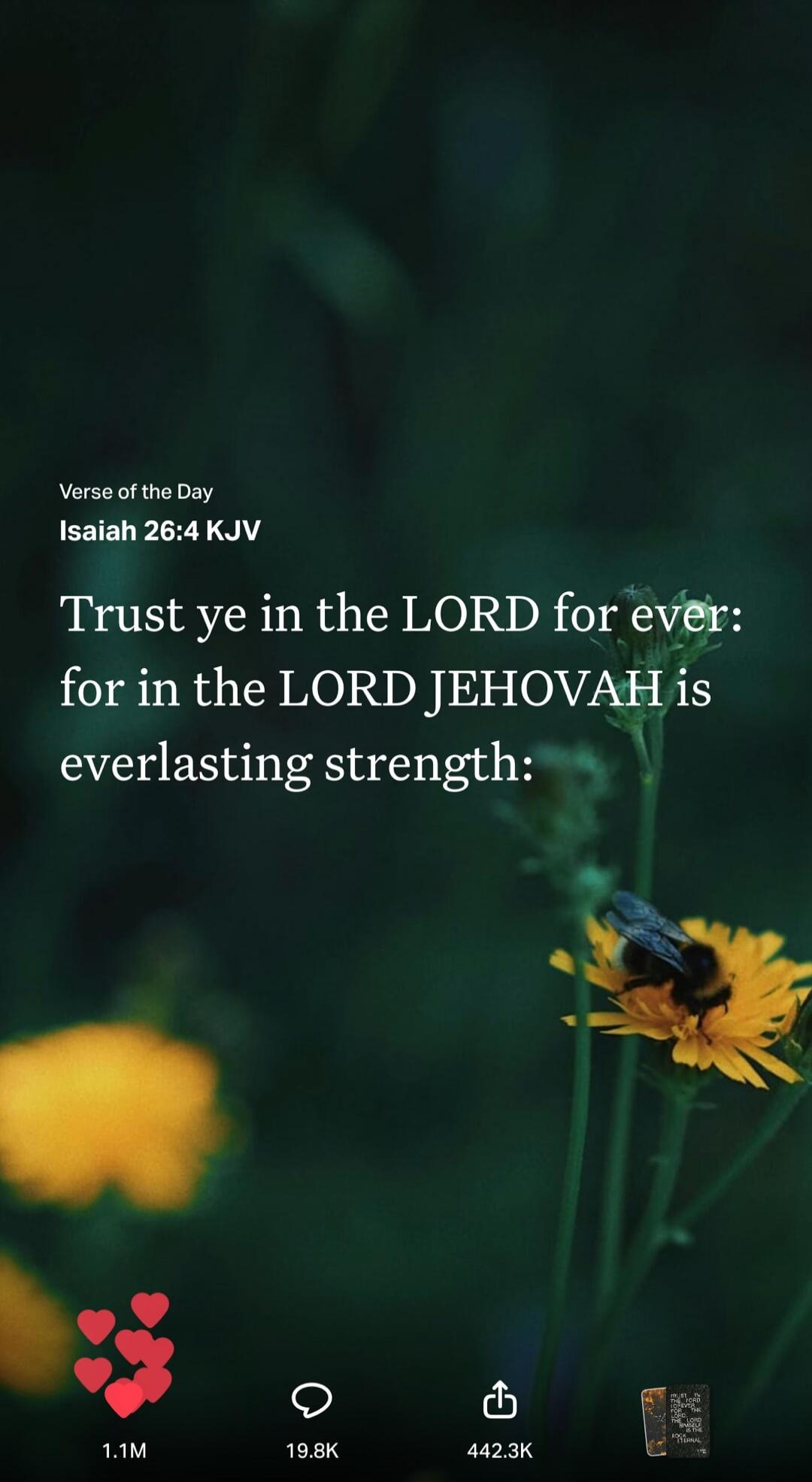 Verse of the Day Isaiah 26:4 KJV Trust ye in the LORD for ever: for in the LORD JEHOVAH is everlasting strength: