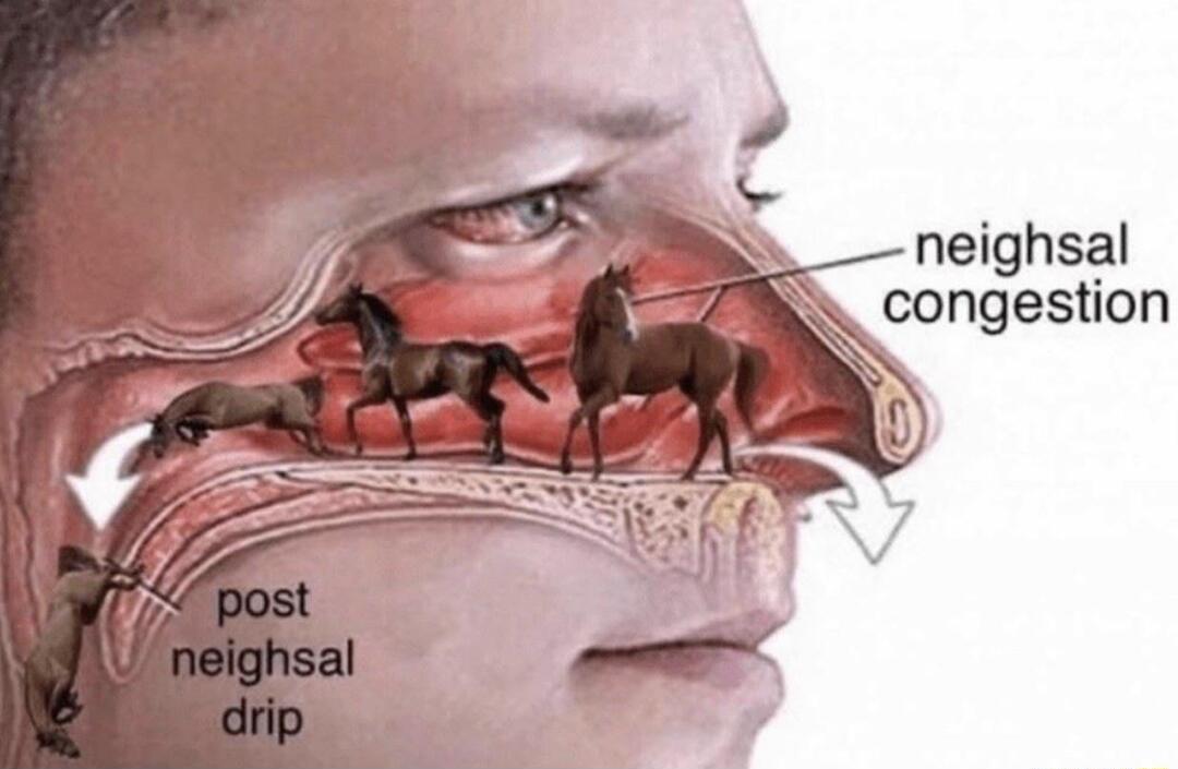 N neighsal A _congestion
