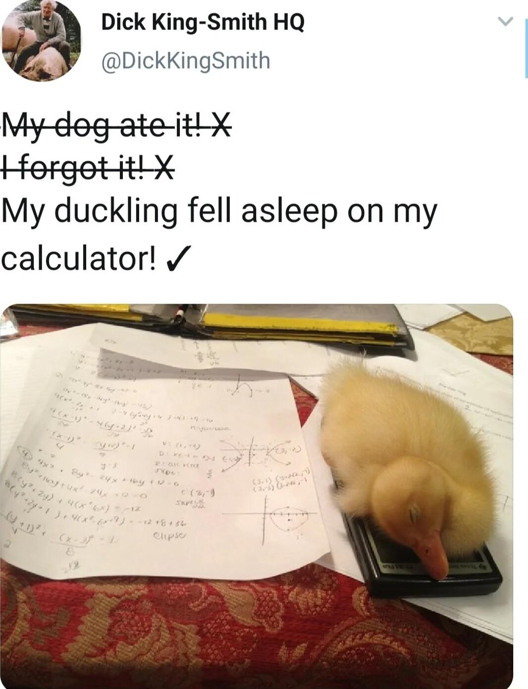 Dick King Smith HQ DickKingSmith My dogate ithx Horgetitlx My duckling fell asleep on my calculator v