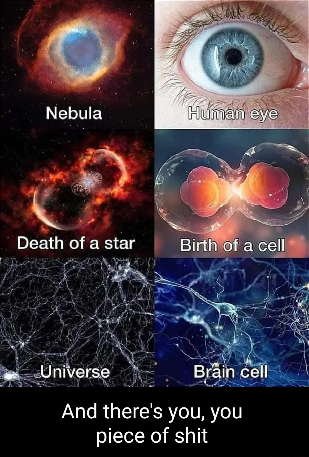 And theres you you piece of shit