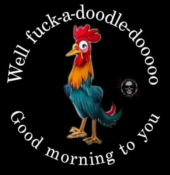 Well fuck-a-doodle-doooo Good morning to you