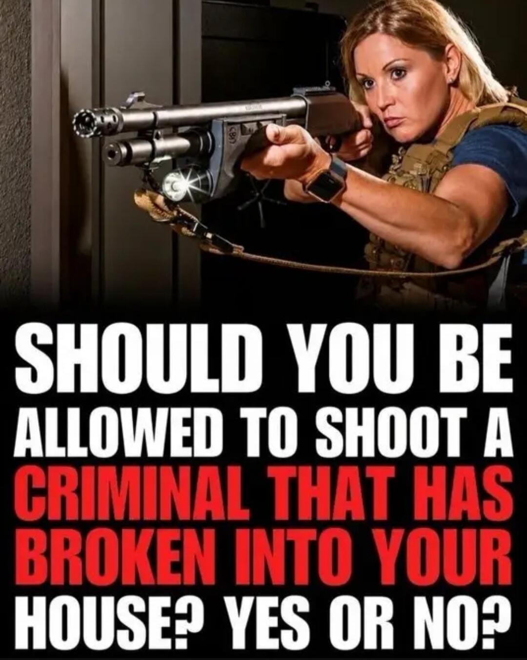SHOULD YOU BE ALLOWED TO SHOOT A CRIMINAL THAT HAS BROKEN INTO YOUR HOUSE? YES OR NO?