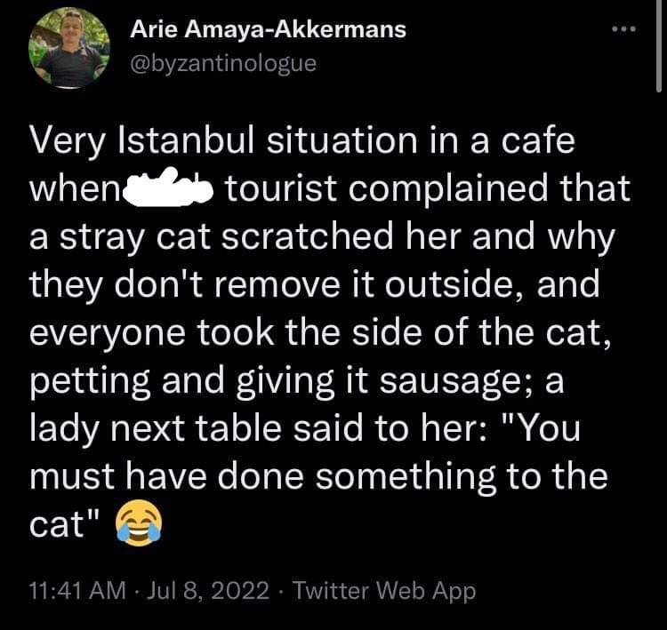 ie Amaya Akkermans yzantinologue Very Istanbul situation in a cafe whengisigl tourist complained that a stray cat scratched her and why they dont remove it outside and everyone took the side of the cat petting and giving it sausage a lady next table said to her You must have done something to the cat 1141 AM Jul 8 2022 Veb App