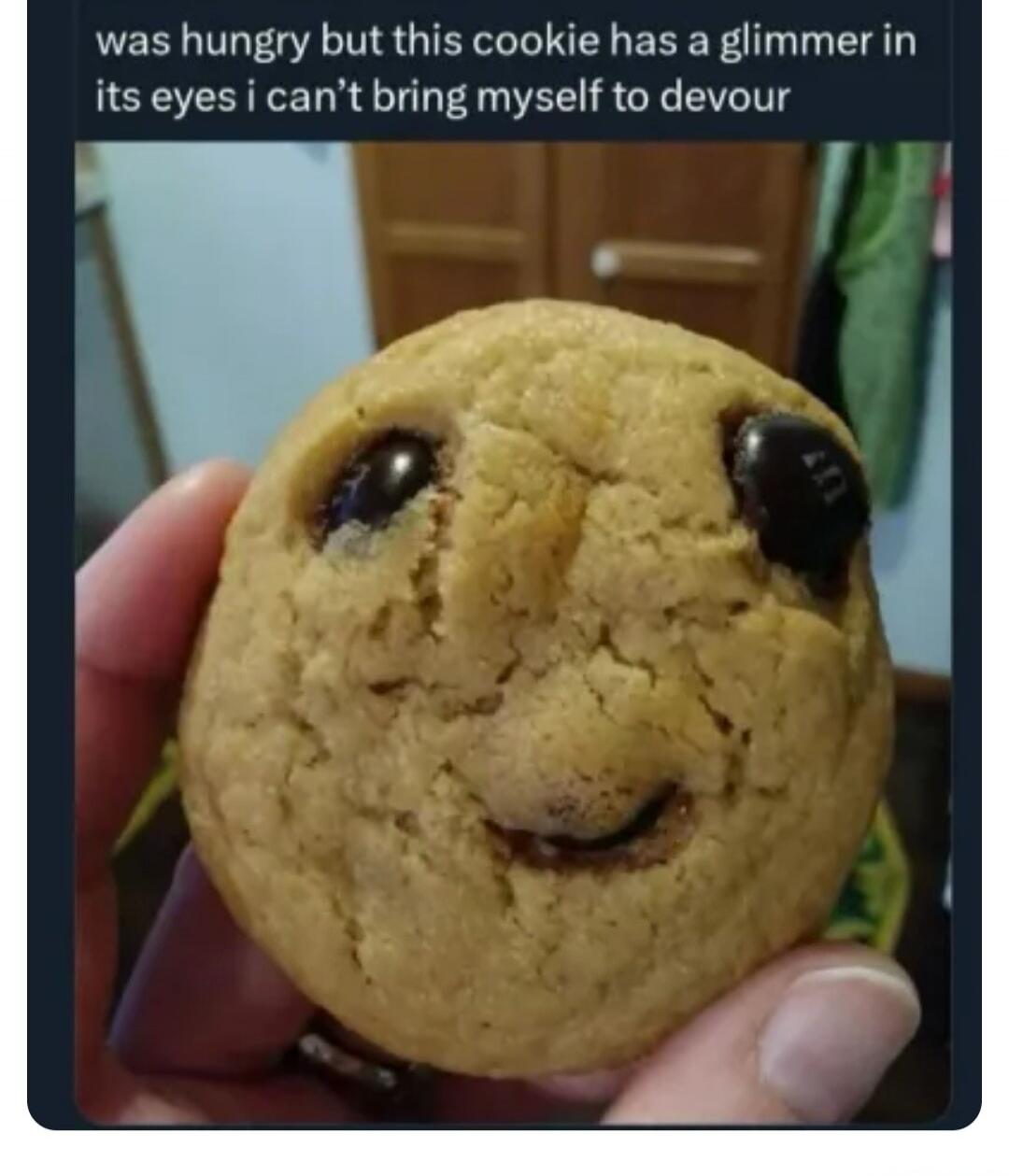 was hungry but this cookie has a glimmer in its eyes i can't bring myself to devour
