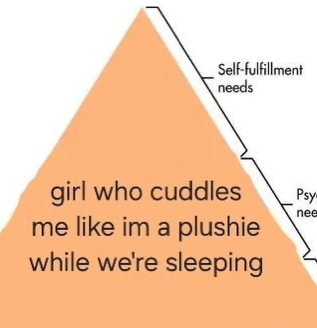 Self fulfillment needs girl who cuddles me like im a plushie while were sleeping Psy nee