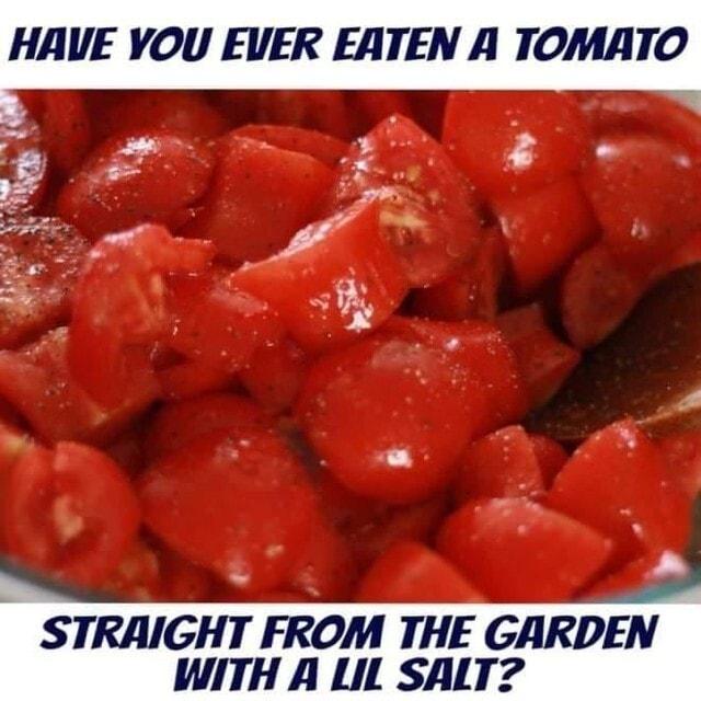 HAUE YOU EVER EATEN A TOMATO A I STRAIGHT FROM THE GARDEN WITH A LIL SALT