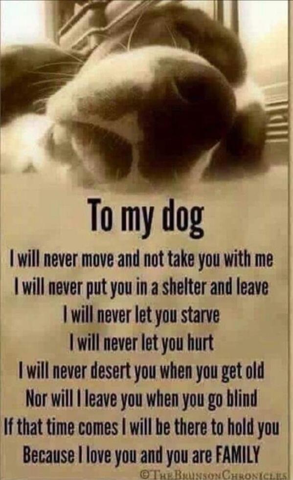 To my dog I will never move and not take you with me I will never put you in a shelter and leave I will never let you starve I will never let you hurt I will never desert you when you get old Nor will I leave you when you go blind If that time comes I will be there to hold you Because I love you and you are FAMILY