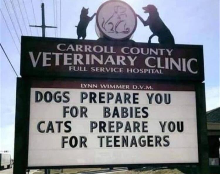 CARROLL COUNT Y VETERINARY CLINIC FULL SERVICE HOSPITAL LYNN WIMMER y DOGS PREPARE YOU FOR BABIES CATS PREPARE YOU FOR TEENAGERS