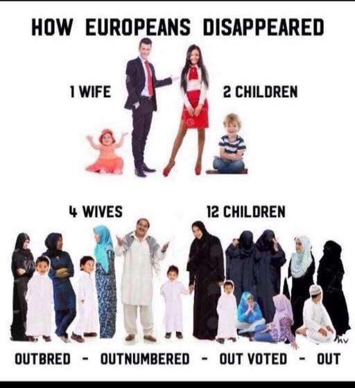 HOW EUROPEANS DISAPPEARED 1 WIFE 2 CHILDREN 4 WIVES 12 CHILDREN OUTBRED - OUTNUMBERED - OUT VOTED - OUT