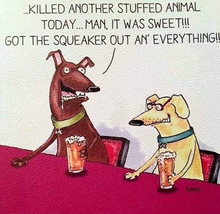 _KILLED ANOTHER STUFFED ANMAL TODAYMAN IT WAS SWEETW GOT THE SQUEAKER OUT AN EVERYTHINGH