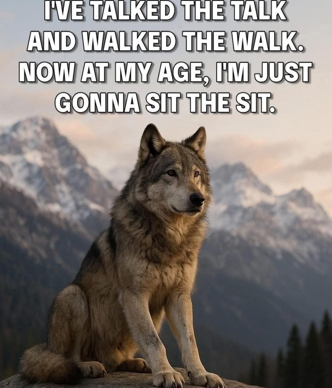I'VE TALKED THE TALK AND WALKED THE WALK. NOW AT MY AGE, I'M JUST GONNA SIT THE SIT.