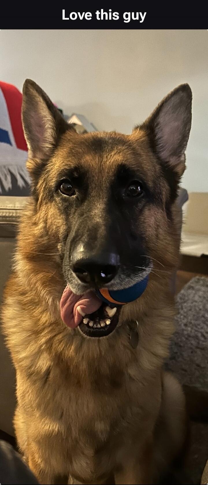 Love this guy