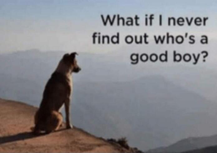 What if I never find out who's a good boy?