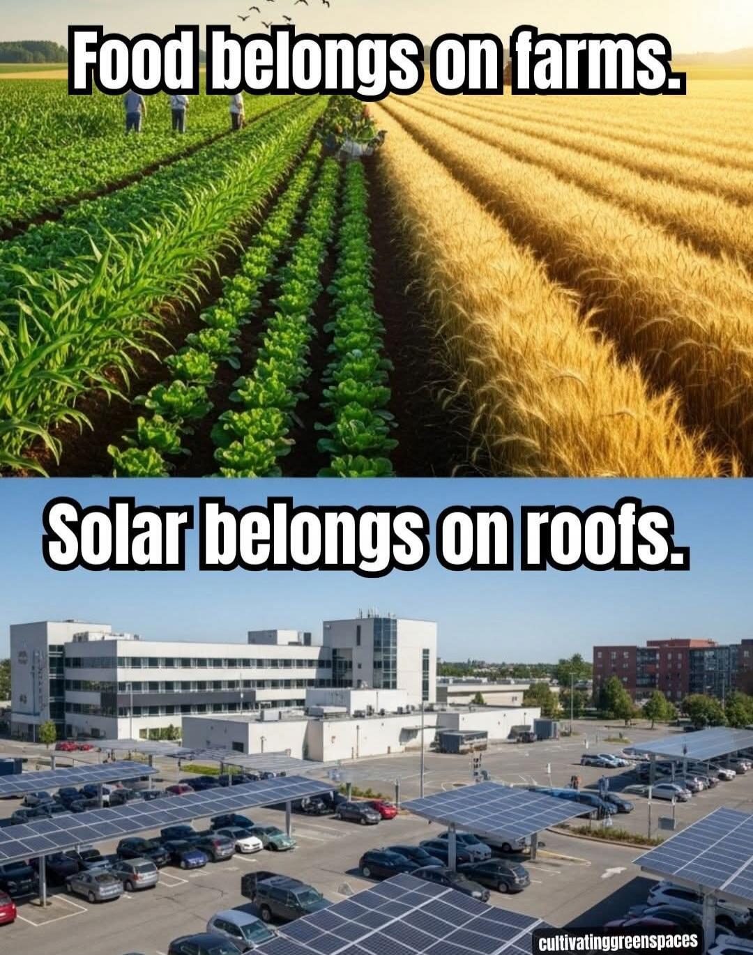 Food belongs on farms. Solar belongs on roofs.