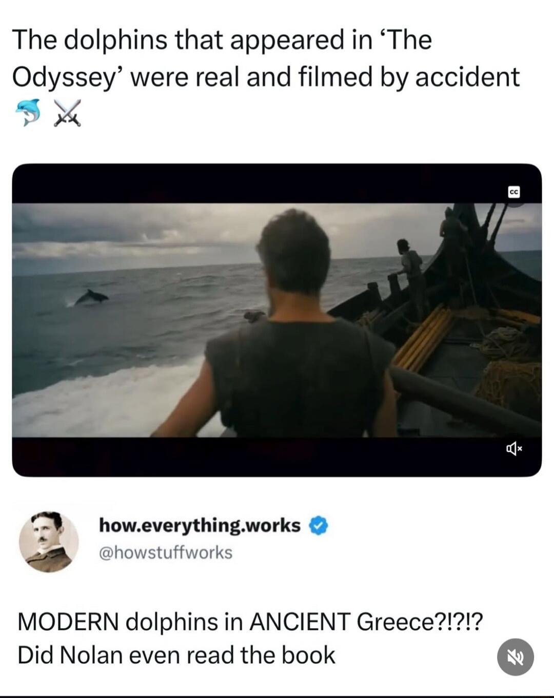 The dolphins that appeared in 'The Odyssey' were real and filmed by accident. how.everything.works @howstuffworks. MODERN dolphins in ANCIENT Greece?!?!?. Did Nolan even read the book