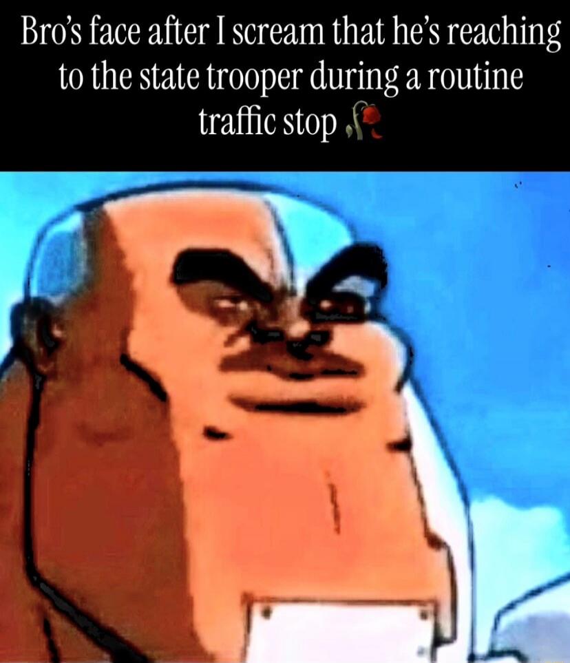 Bro's face after I scream that he's reaching to the state trooper during a routine traffic stop 🥀