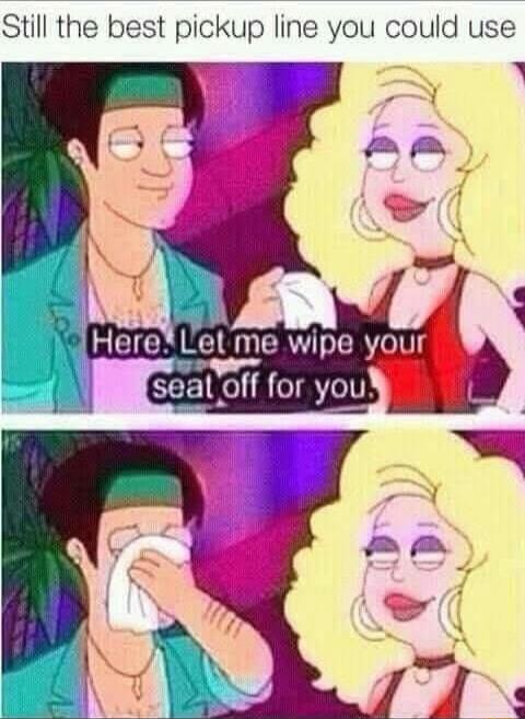 Still the best pickup line you could use Lel me wipe your seal for you