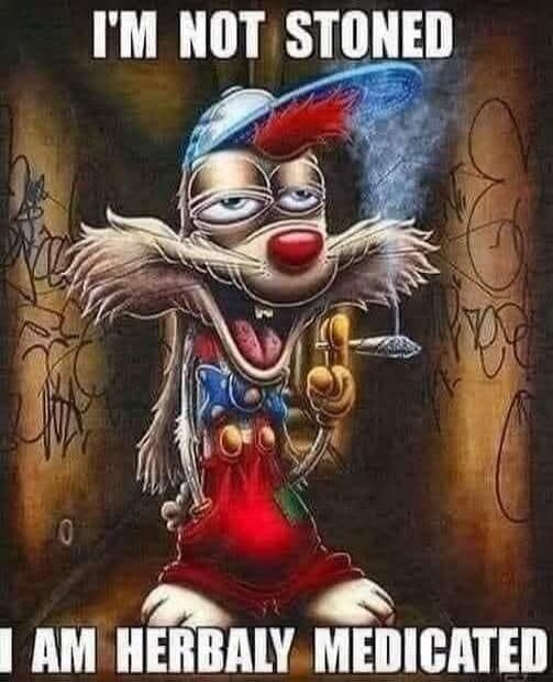 I'M NOT STONED I AM HERBALY MEDICATED