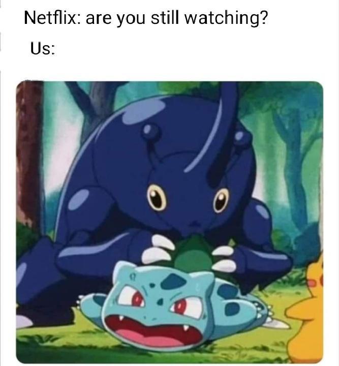 Netflix are you still watching Us