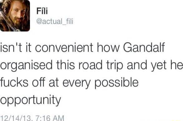isn't it convenient how Gandalf organised this road trip and yet he fucks off at every possible opportunity