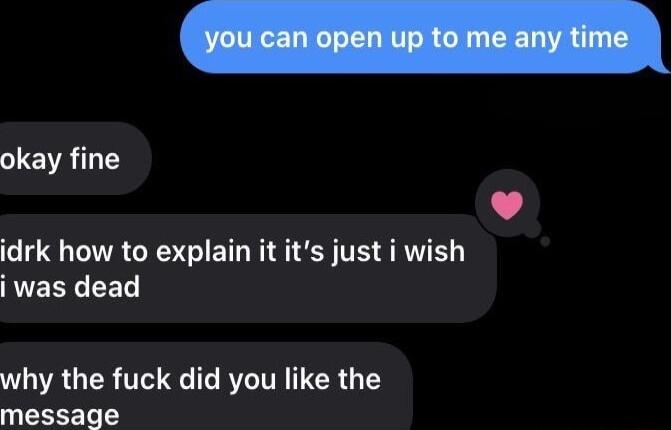 idrk how to explain it its just i wish RUEREED SR why the fuck did you like the message