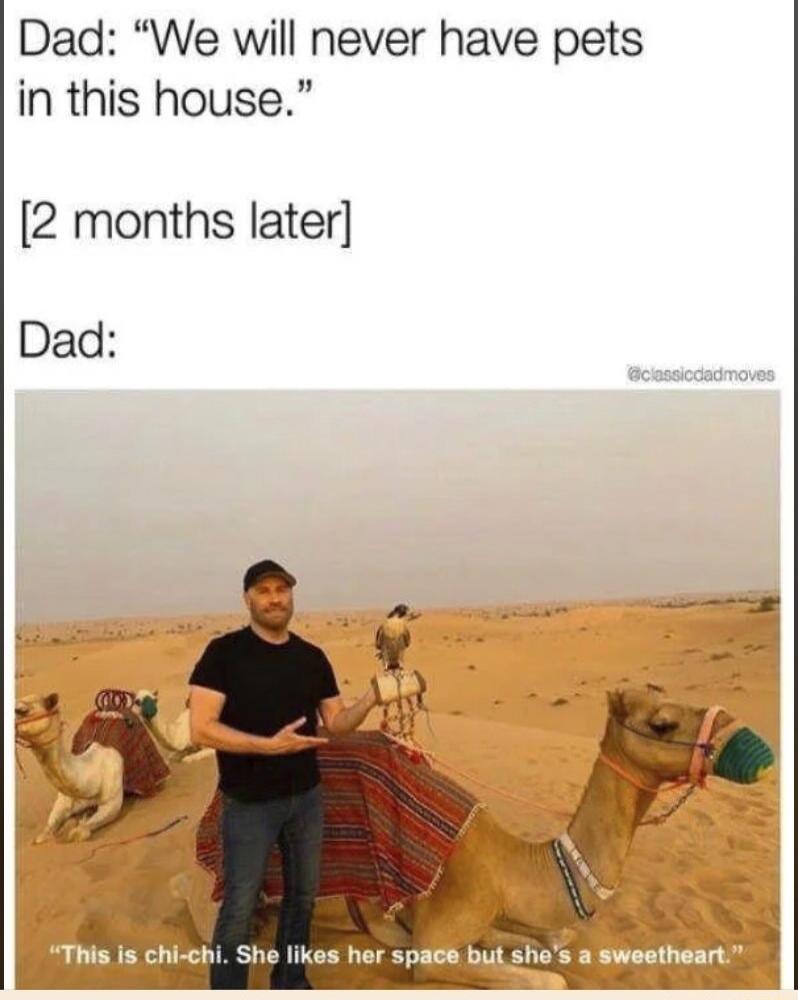 Dad We will never have pets in this house 2 months later Dad